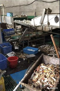 消毒餐具廠調查 車間堆積食物殘渣 工人臟手套擦杯盤